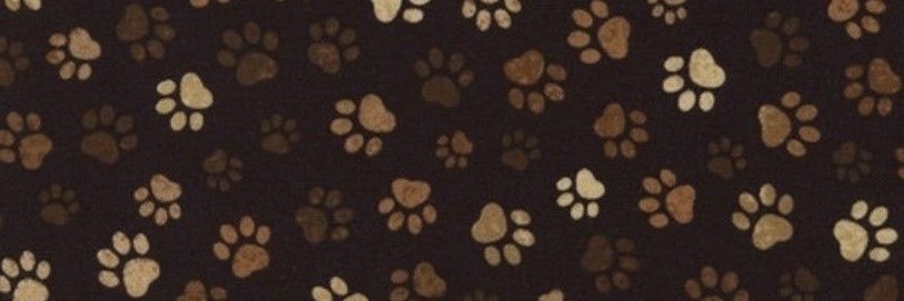 ‘’ pups 🐾🪶,, DMs open's banner