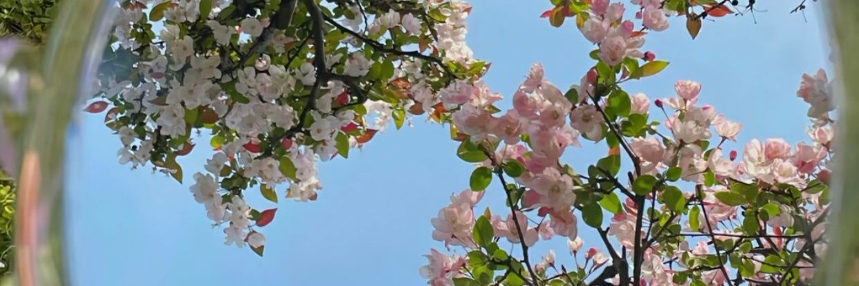 蜡笔小新眼子's banner