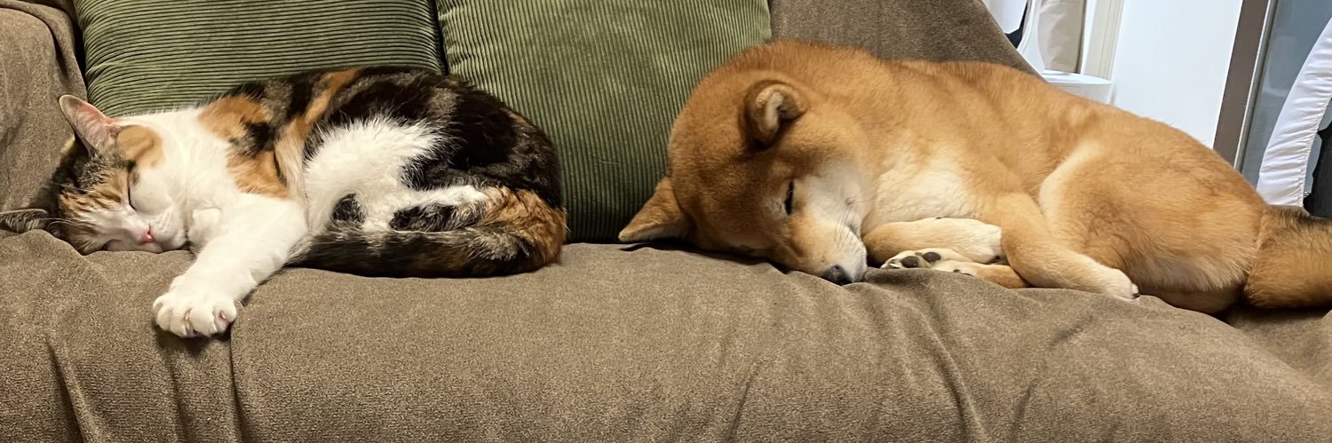 柴犬こん's banner