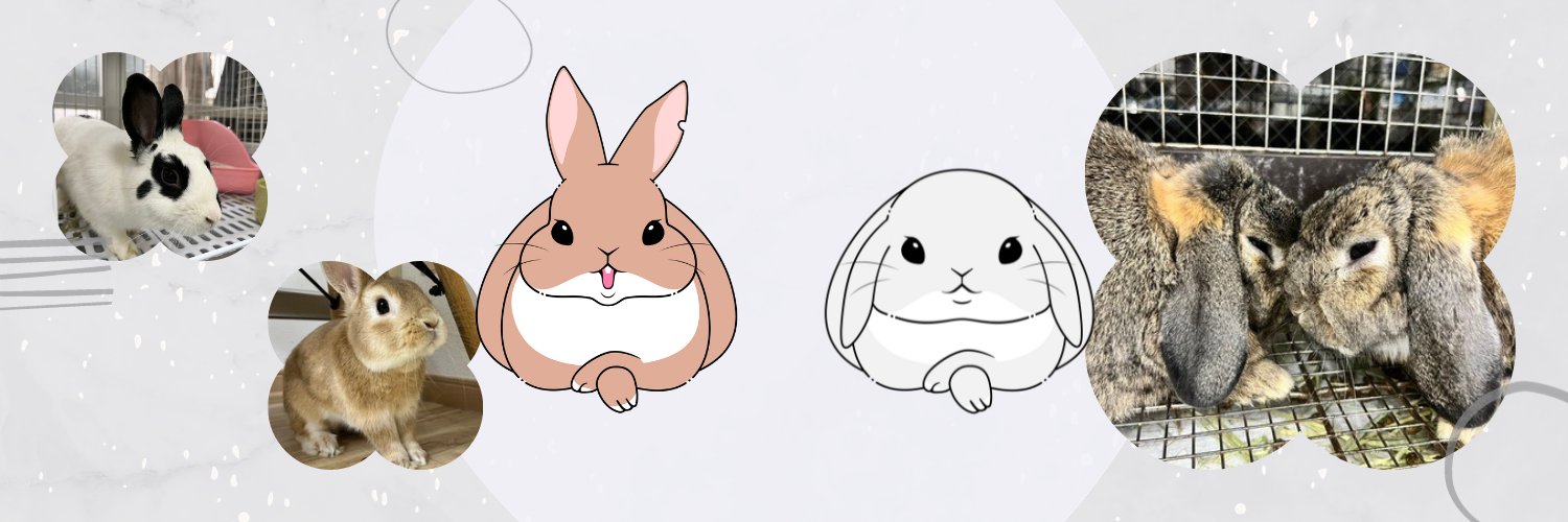 うさぎとひとの幸せを支える会🐰🐰@ペットショップではなく保護うさぎをお迎えしよう！'s banner