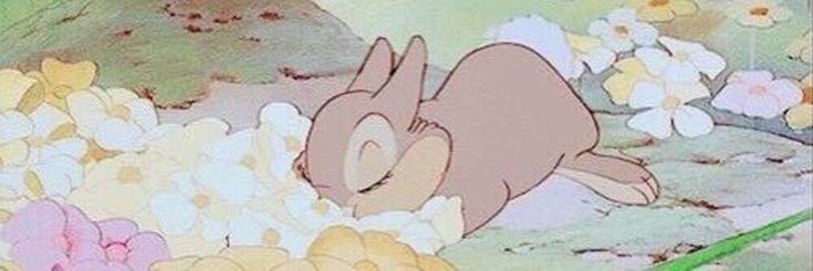 𝐒𝐡𝐞𝐥𝐥𝐲 🐇's banner
