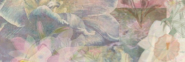 mopi's banner