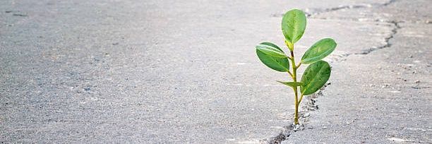 Godsent Prosperity💙's banner