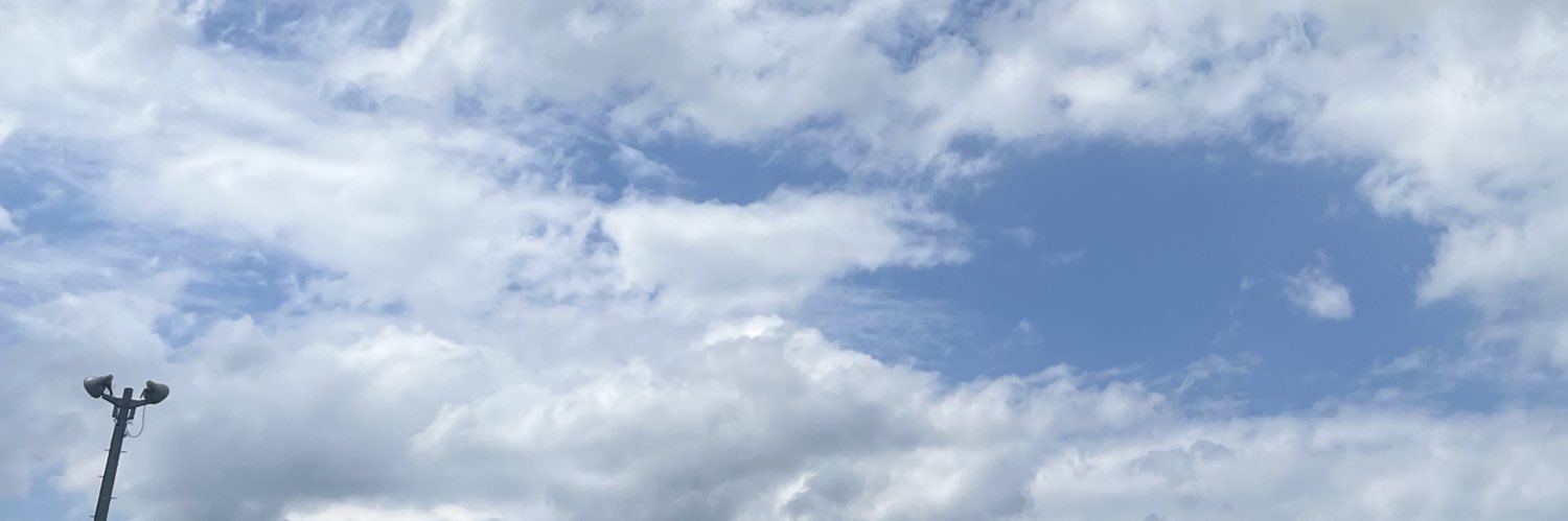 本西彩希帆's banner