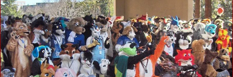 cute fursuits's banner