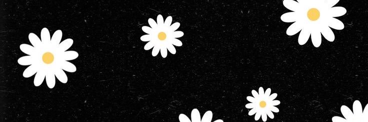 Pingo de gente's banner