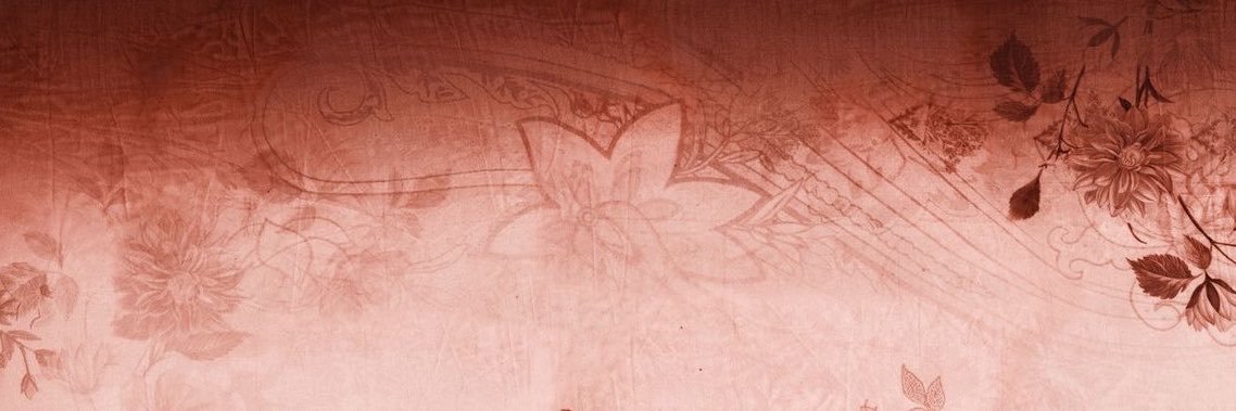 zee 𓇢𓆸's banner