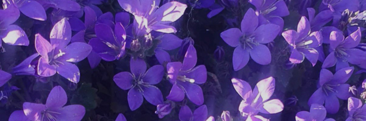 𝐼𝒸𝓎 🏳️‍🌈 ψ 𝑀𝑒𝓉 𝒯𝓎𝓁𝑒𝓇's banner