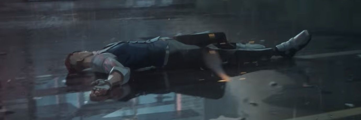 nat's banner