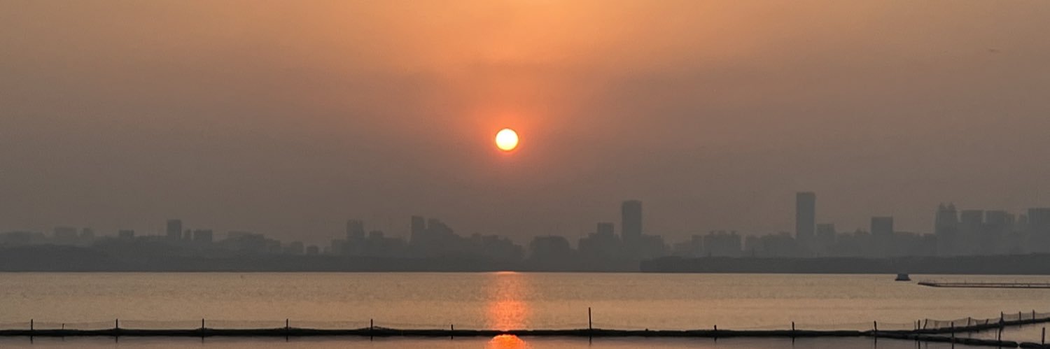 紫薇仙人's banner