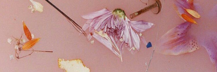 mama gal🍓's banner
