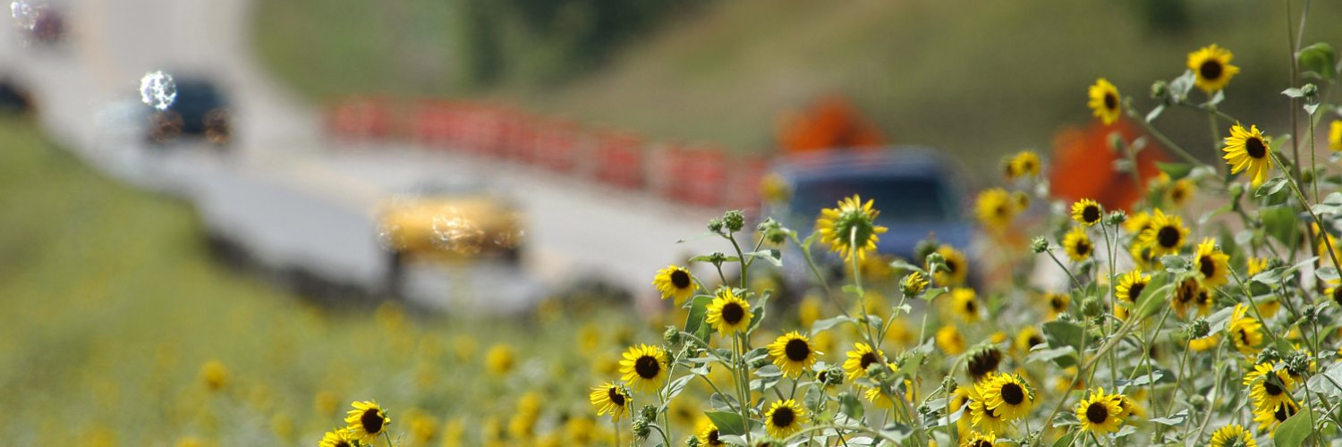 Minnesota Department of Transportation's banner
