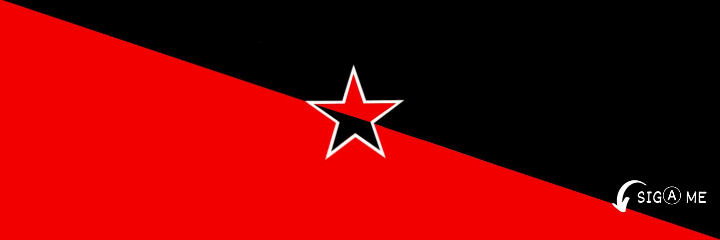 WlⒶdimi☭ 🇵🇸's banner