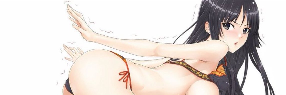 DNo's banner
