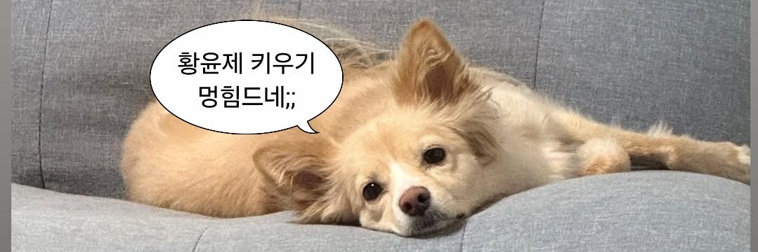 푸르르's banner