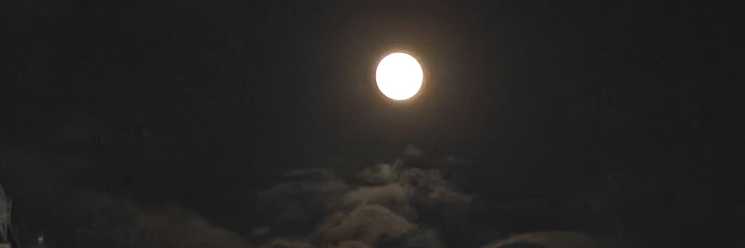 小鱼饼干.'s banner