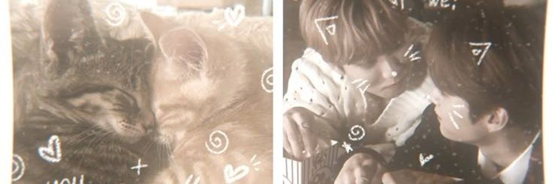 Skye🌸🧩 ๋࣭ ⭑⚝'s banner