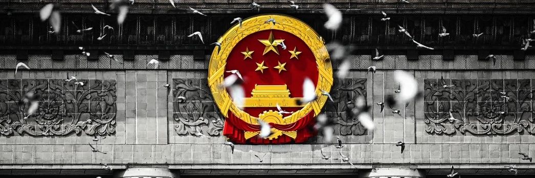 阿洛洛（alolo）🇨🇳's banner