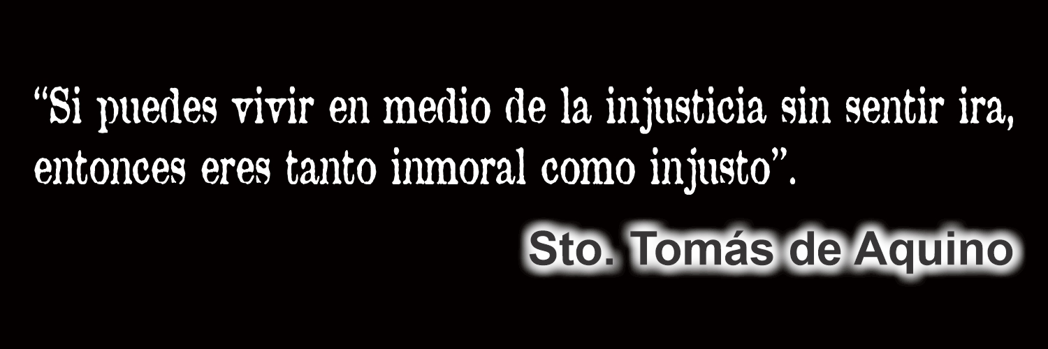 NoSoyElGato's banner