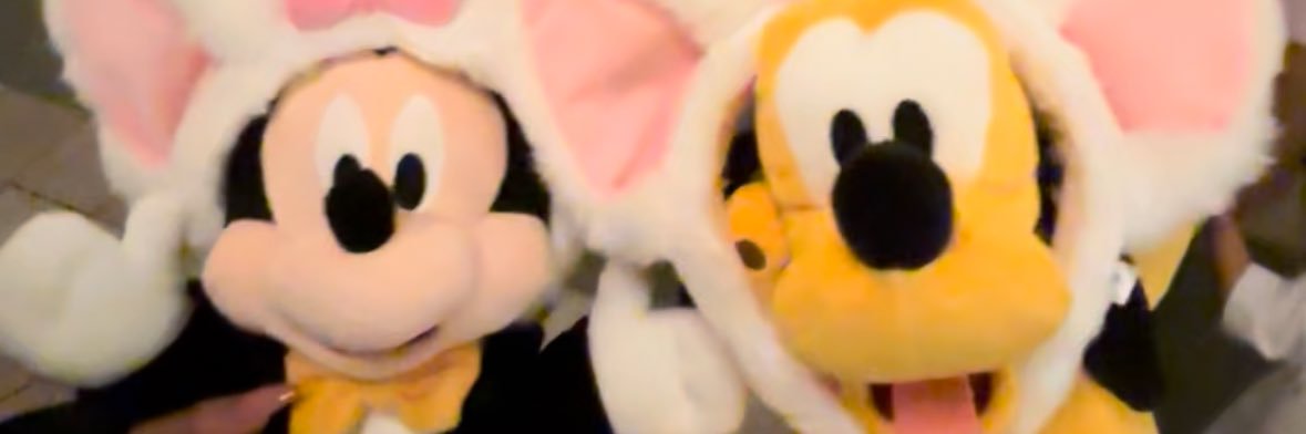 🩶's banner