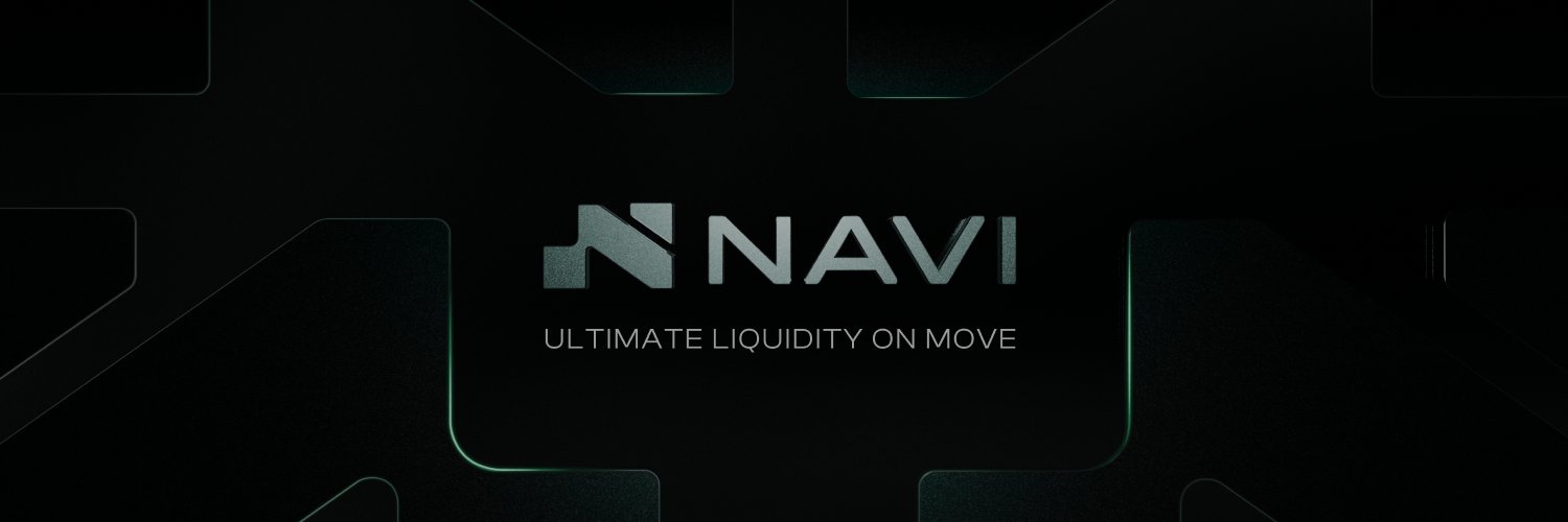 NAVI Protocol's banner