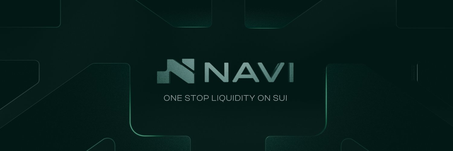 NAVI Protocol's banner