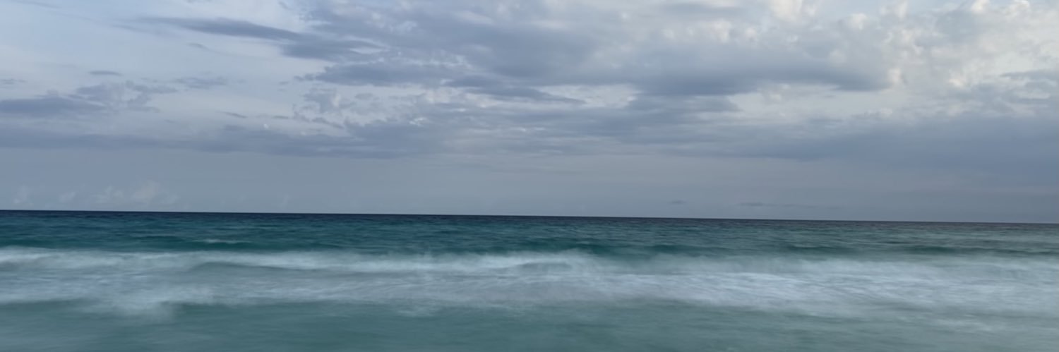 Vanillin's banner