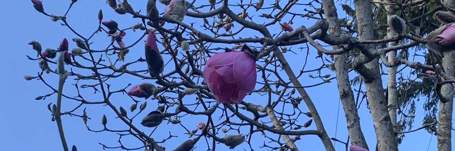 灭共稻草(红叶)'s banner