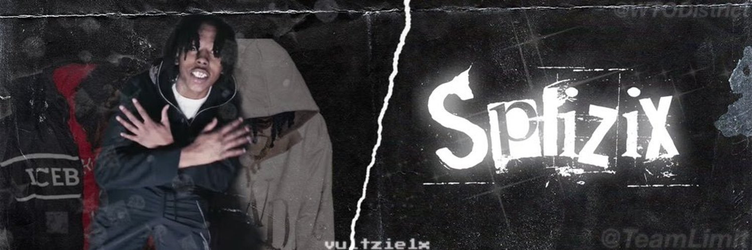 Splizixᵛᵗ's banner