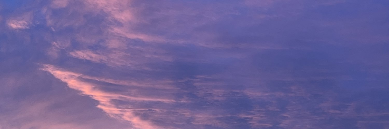 girl fights's banner