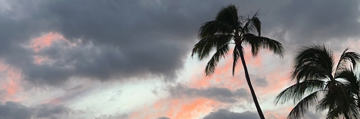 DL Jax's banner