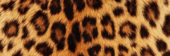 Lulu Deluxe ❤️'s banner
