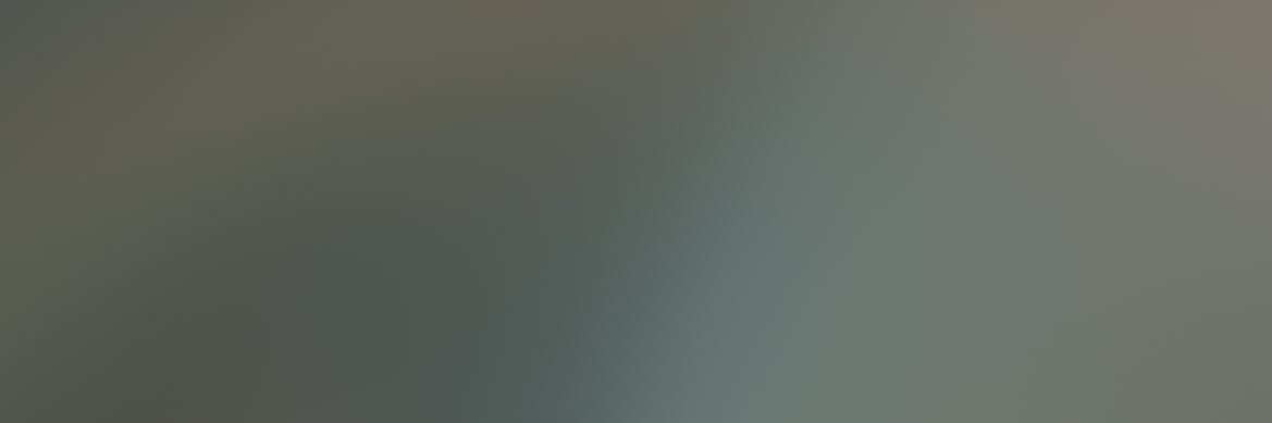 auslo's banner