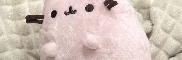 moon's banner