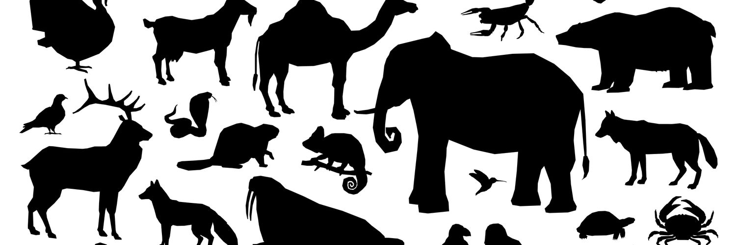 Janm Foundation Animal Welfare's banner