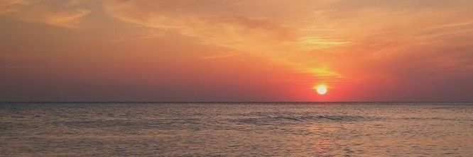 amir_lms's banner