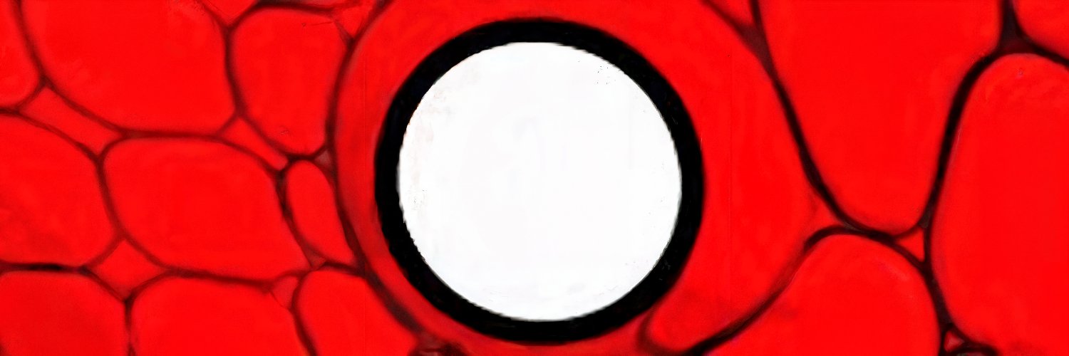 nic's banner