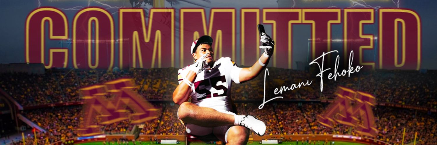 Lemani Fehoko 𝟑 ⭐️'s banner