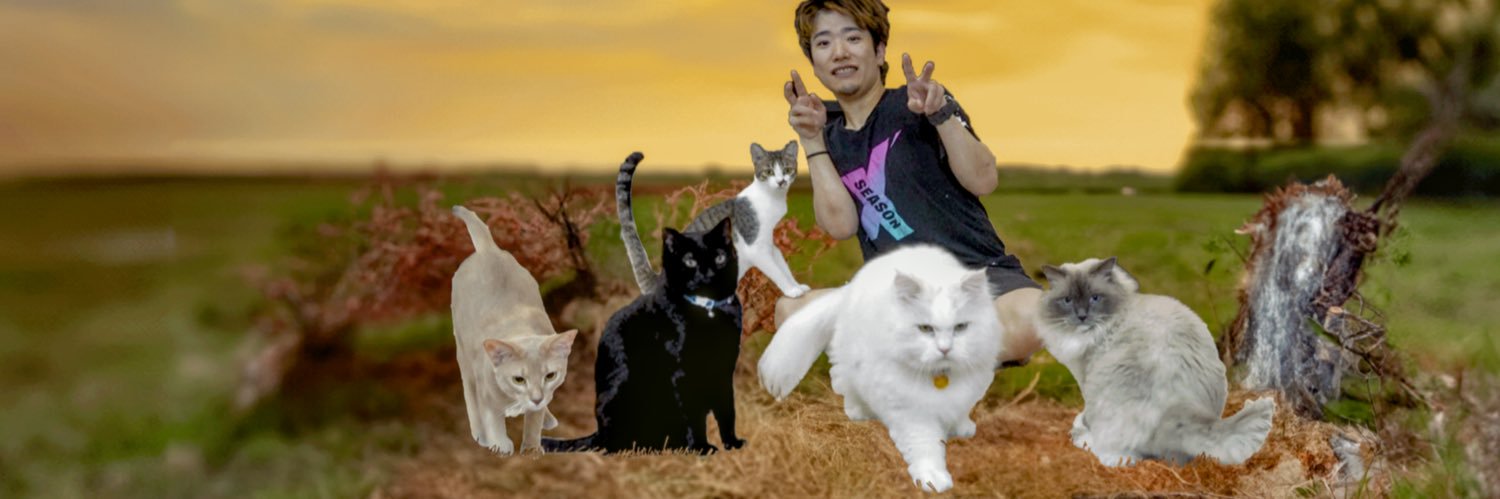 猫の黒ちゃんねる🐈‍⬛'s banner