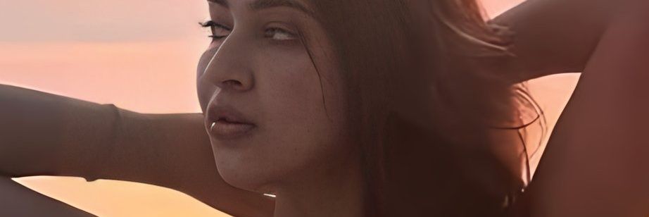 Sonarika's banner