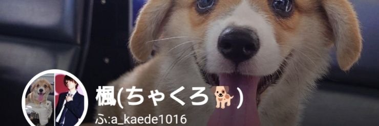 楓(ckr)'s banner