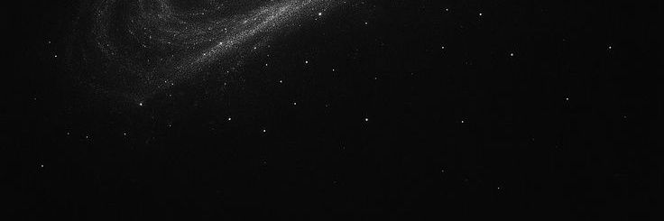 ell ✮'s banner
