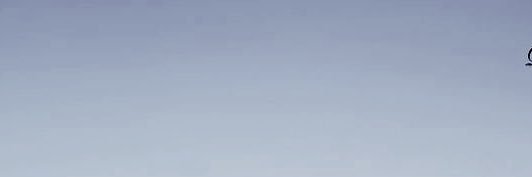 Oui's banner