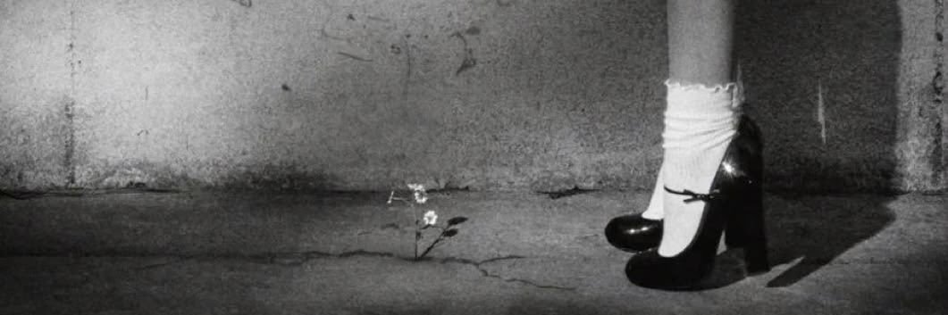 𝐬𝐚𝐦𝐦𝐲 𖤐's banner