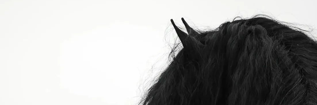把肉加满's banner