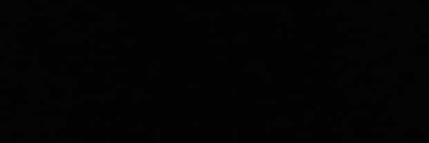 𝑫𝒂𝒏𝒊𝒆𝒍's banner