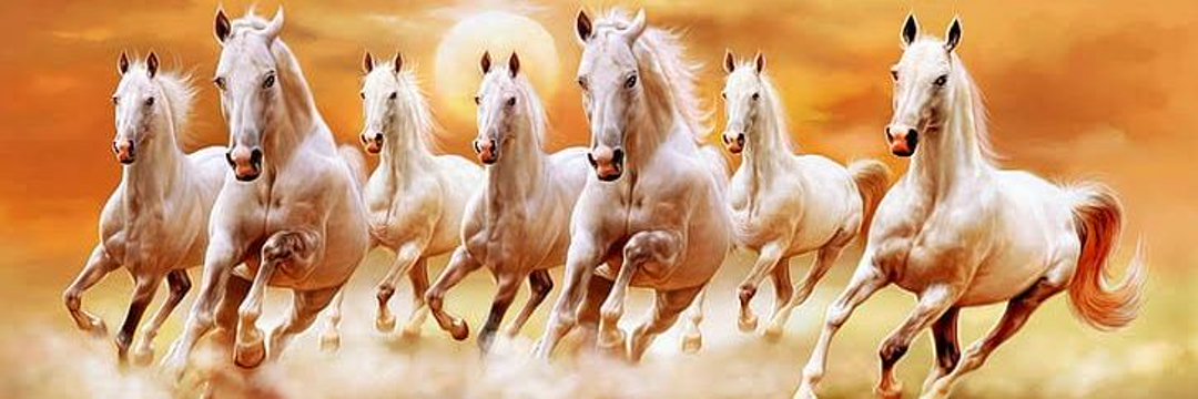 The ASK's banner