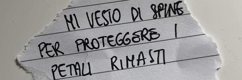 Rosa🌹🌞🌈's banner