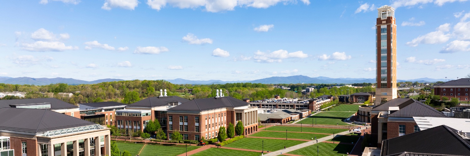 Liberty University's banner