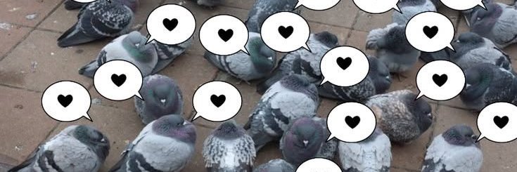 liz¡¡¡'s banner